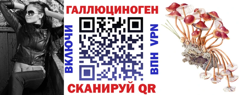 Купить закладки  Новоузенск  Псилоцибиновые грибы Cubensis 